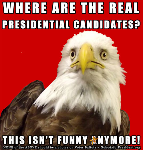 Where are the real presidential candidates? This isn't funny anymore! NONE of the ABOVE should be a choice on Voter Ballots